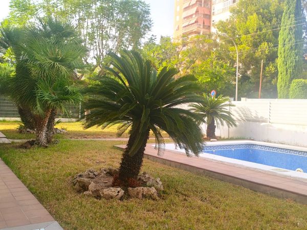 Chalet Benicasim (C/ Sigalero) | Estancia Inmobiliaria